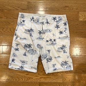 Men’s Luau Tropical Beach Shorts